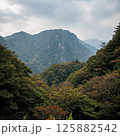 山にかかる雲 125882542