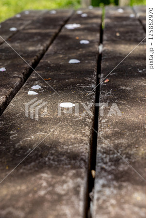 公園のベンチと桜の花びら 125882970