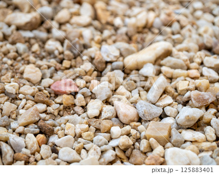 Nature's close-up exploring the textures and variations of gravel and pebbles outdoors 125883401