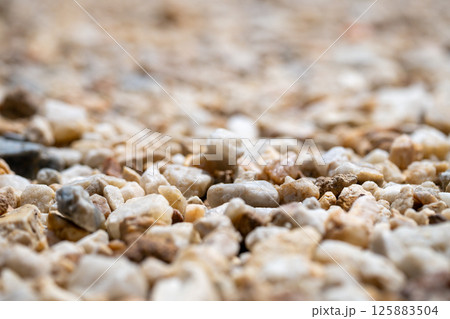 Exploring nature's textures close-up of pebbles outdoor setting macro ground perspective 125883504