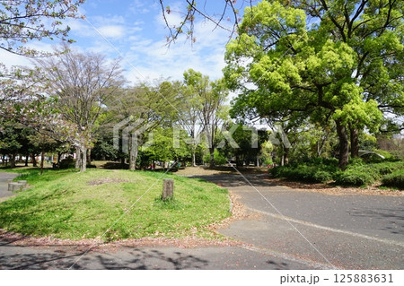 反町公園 125883631