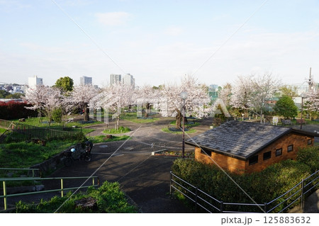 幸ケ谷公園 幸ケ谷公園 125883632