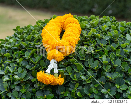 Nature bright floral arrangement celebrating cultural symbolism in an outdoor garden 125883841