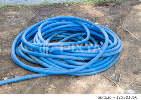 Blue garden hose coiled ground outdoor setting nature close-up watering concept 125883850
