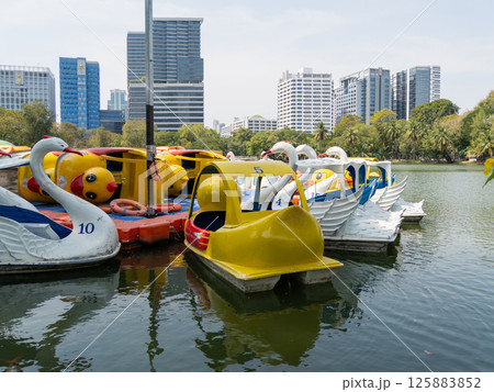 Swan paddle boats at city park recreational activity urban environment scenic view 125883852