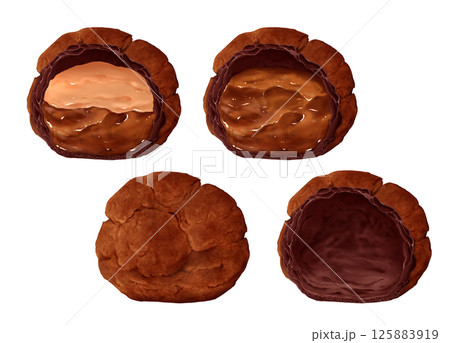 チョコレートシュークリーム　チョコのシュー皮 125883919