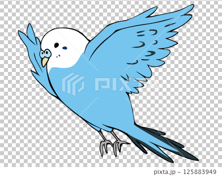 多彩的虎皮鸚鵡藍色飛翔 125883949