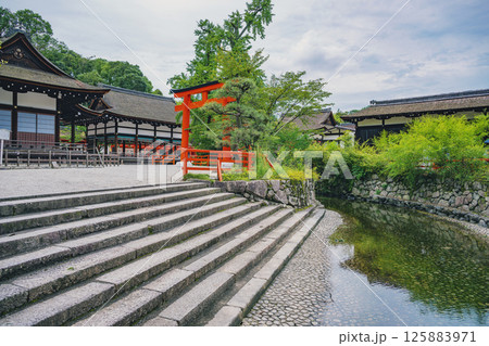 京都 下鴨神社（賀茂御祖神社） 御手洗池と境内風景 125883971