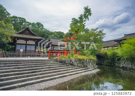 京都 下鴨神社（賀茂御祖神社） 御手洗池と境内風景 125883972