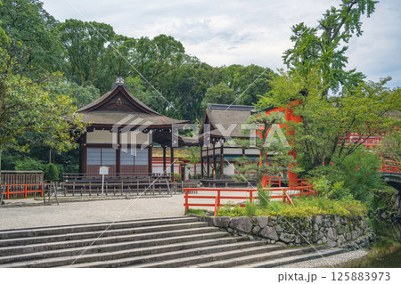 京都 下鴨神社（賀茂御祖神社） 御手洗池と境内風景 125883973