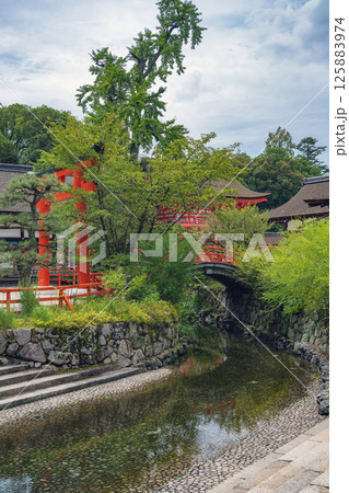 京都 下鴨神社（賀茂御祖神社） 御手洗池と境内風景 125883974