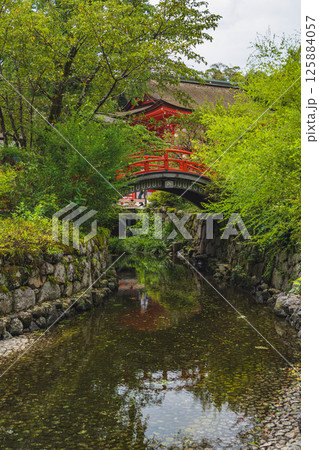 京都 下鴨神社（賀茂御祖神社）御手洗川と輪橋 125884057