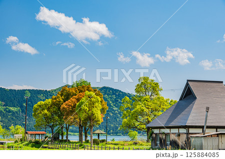 余呉湖畔の新緑の木々　滋賀県長浜市余呉町 125884085