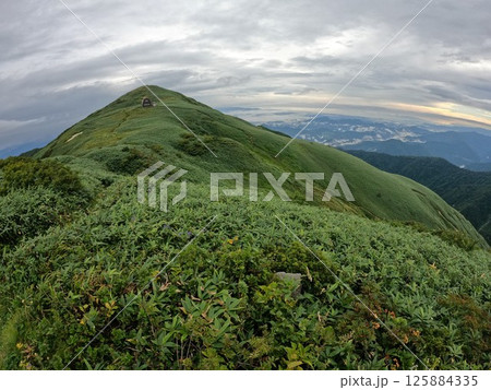 朳差岳南稜の登山道と笹原 125884335