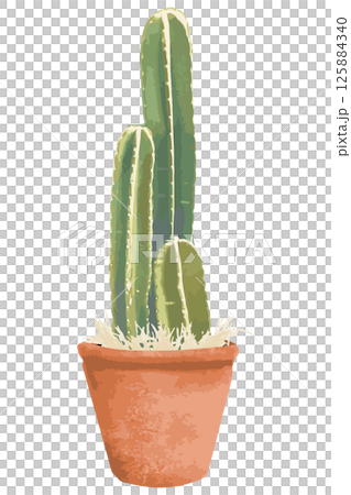 Watercolor cactus illustration 125884340