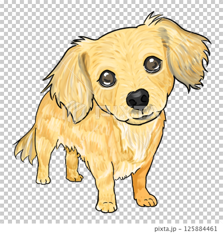 Towax Towax 125884461