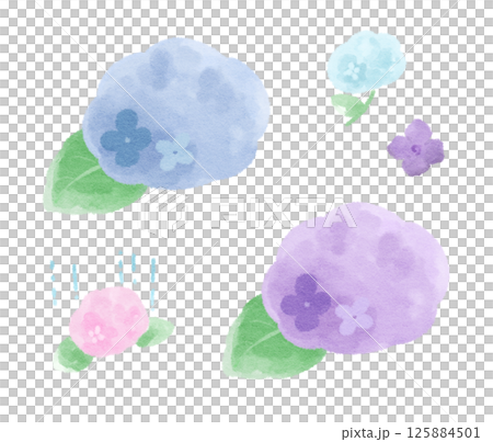 繡球花雙色插圖集 125884501