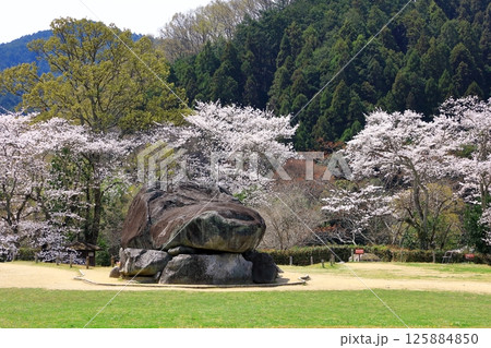 春の石舞台古墳 満開の桜 春の石舞台古墳 満開の桜 125884850