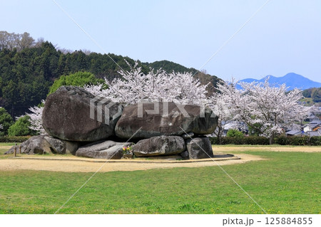 春の石舞台古墳　満開の桜 125884855