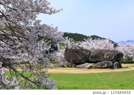 春の石舞台古墳　満開の桜 125884858