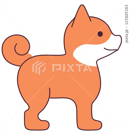 柴犬　イラスト 125885163