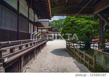京都 下鴨神社（賀茂御祖神社）境内の風景 125885197