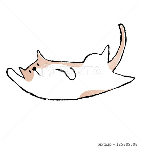 猫のイラスト　じゃれる 125885308