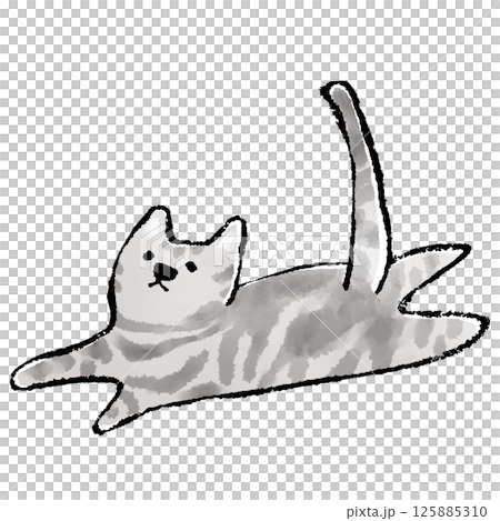 Cat illustration: American Shorthair Cat illustration: American Shorthair 125885310