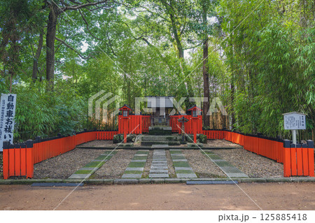京都 下鴨神社（賀茂御祖神社） 緑の中の祓社 125885418