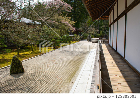 世界遺産高野山　金剛峯寺　別殿と蟠龍庭　和歌山県 125885603