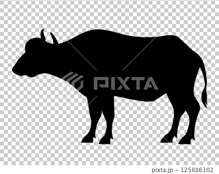 African buffalo icon 125886102
