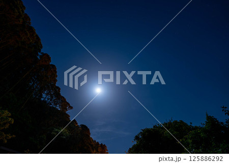 月に抱かれる森 月に抱かれる森 125886292