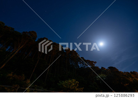 月に抱かれる森 月に抱かれる森 125886293