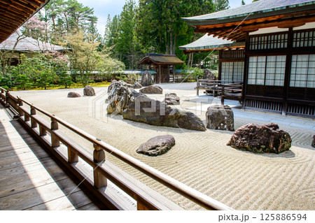金剛峯寺 別殿より観る蟠龍庭と奥殿 高野山 和歌山県 金剛峯寺 別殿より観る蟠龍庭と奥殿 高野山 和歌山県 125886594