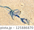 砂浜に打ち上げられたブルーボトル 125886870