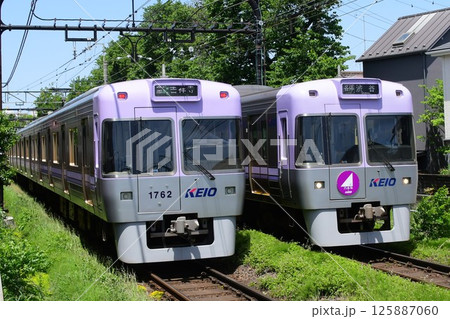 すれ違う京王1000系 バイオレット編成同士 1755Fと1762F 井の頭線 すれ違う京王1000系 バイオレット編成同士 1755Fと1762F 井の頭線 125887060
