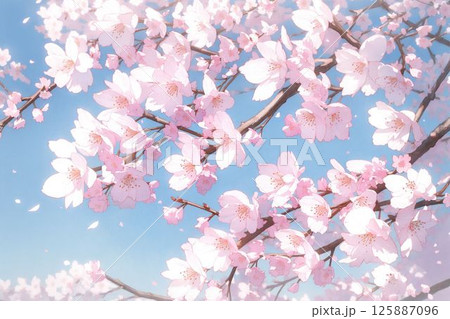 青空に映える桜 125887096
