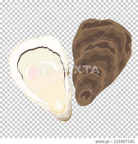 牡蠣和牡蠣殼插圖 125887182