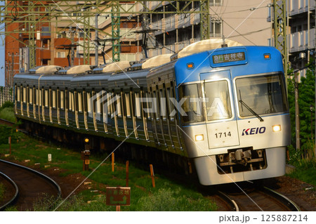 夕日を浴びて走る京王1000系　1764F　ライトブルー編成　井の頭線 125887214