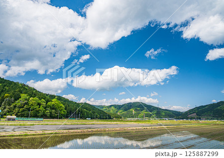 湖北地方余呉町の田園風景　滋賀県長浜市 125887299