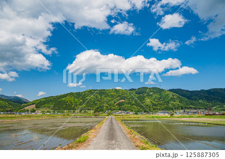 湖北地方余呉町の田園風景 滋賀県長浜市 湖北地方余呉町の田園風景 滋賀県長浜市 125887305
