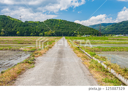 湖北地方余呉町の田園風景　滋賀県長浜市 125887329