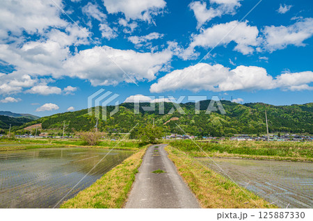 湖北地方余呉町の田園風景　滋賀県長浜市 125887330