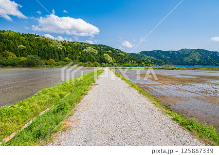 湖北地方余呉町の田園風景　滋賀県長浜市 125887339