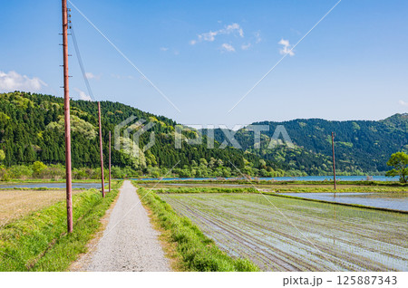 湖北地方余呉町の田園風景　滋賀県長浜市 125887343