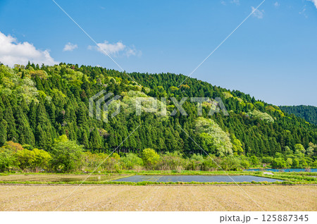 湖北地方余呉町の田園風景 滋賀県長浜市 湖北地方余呉町の田園風景 滋賀県長浜市 125887345
