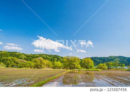 湖北地方余呉町の田園風景 滋賀県長浜市 湖北地方余呉町の田園風景 滋賀県長浜市 125887456