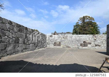 赤穂城の虎口 125887581