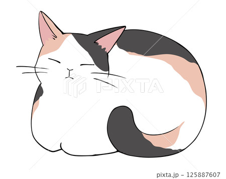 三毛 ねこ 香箱座り 三毛 ねこ 香箱座り 125887607