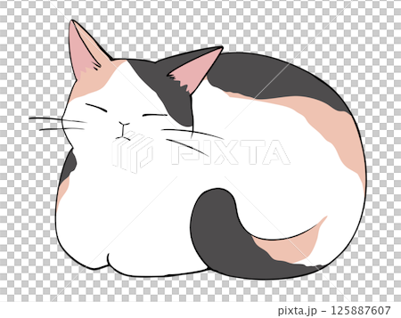 三毛 ねこ 香箱座り 三毛 ねこ 香箱座り 125887607